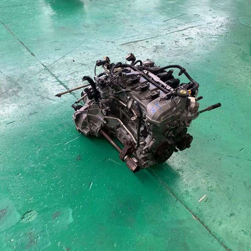 Other ZY — صورة مرجعية مؤقتة